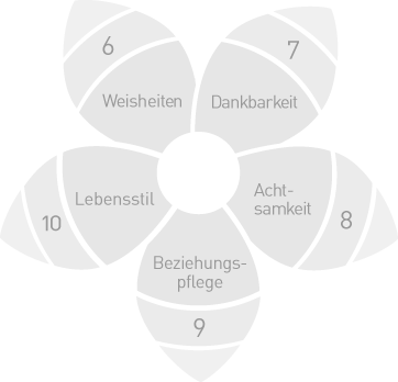 Unsere Trainings